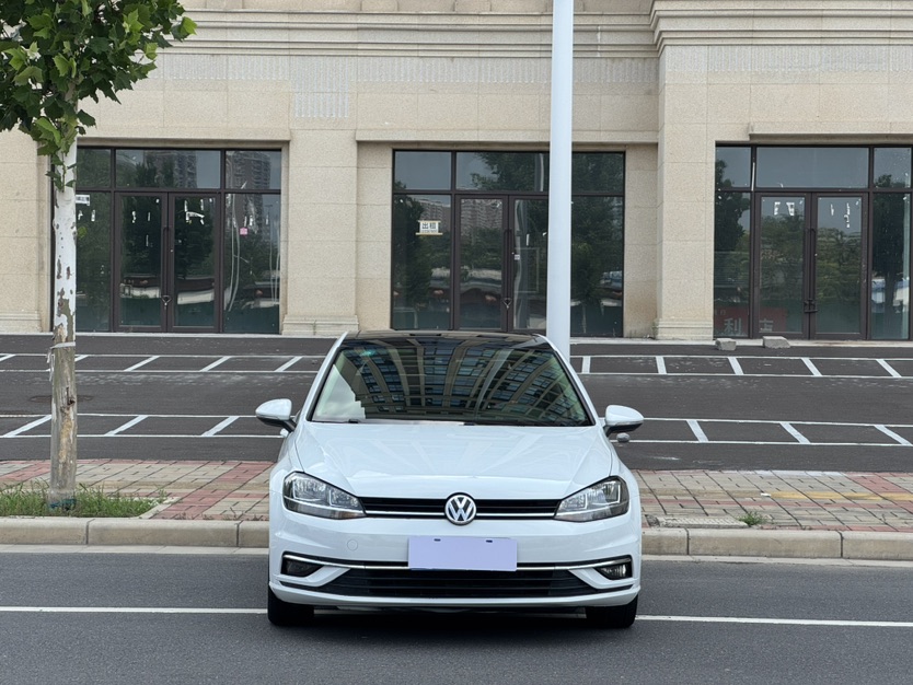 Volkswagen Golf 2019 #2 Volkswagen Golf 2019 car image #2