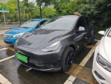 Tesla Model Y 2024 Tesla Model Y 2024 car image