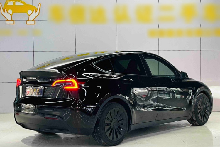 Tesla Model Y 2023 immagine di auto #6