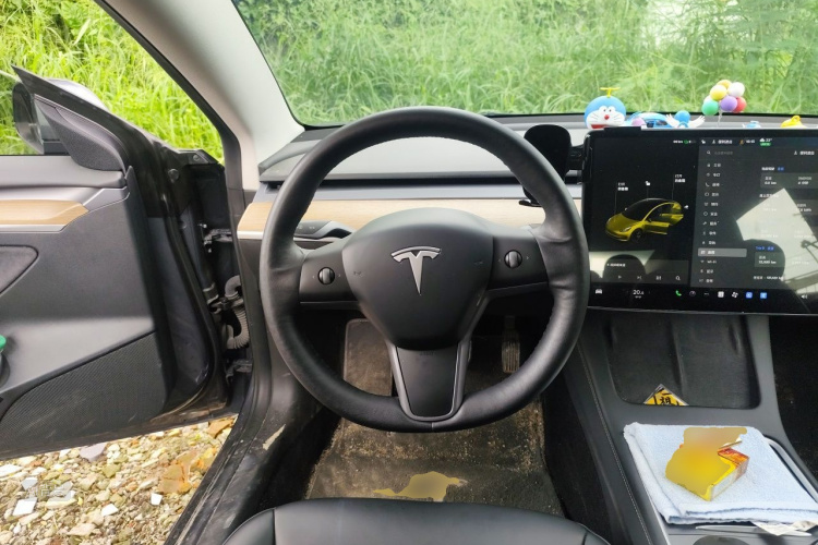 Tesla Model 3 2021 #12 Tesla Model 3 2021 car image #12
