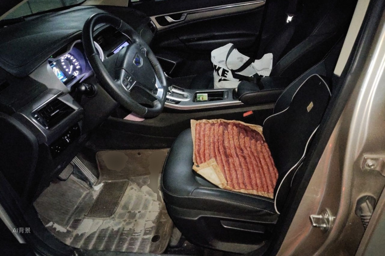 GEELY Emgrand GS 2017 car image #17
