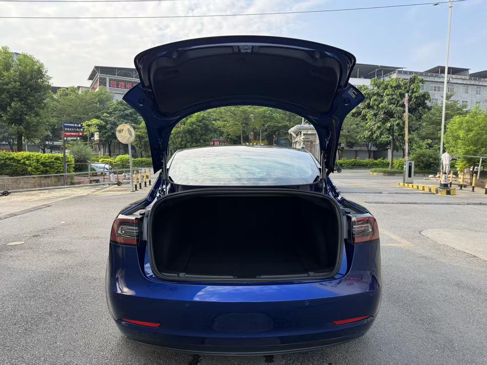 Tesla Model 3 2020 car image #18