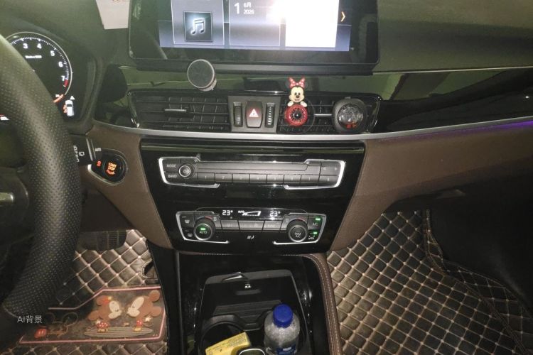 BMW X1 2020 car image #15