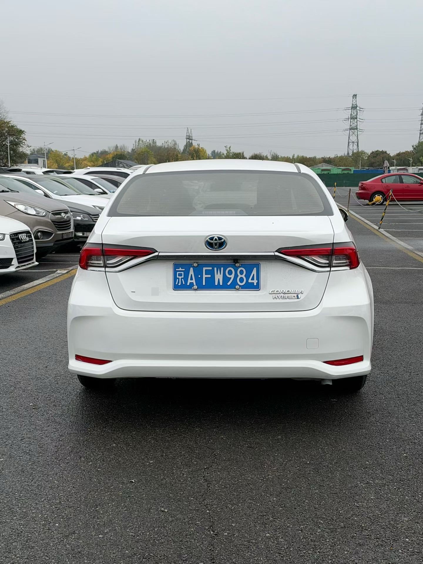 Toyota Corolla 2023 #6 Toyota Corolla 2023 car image #6