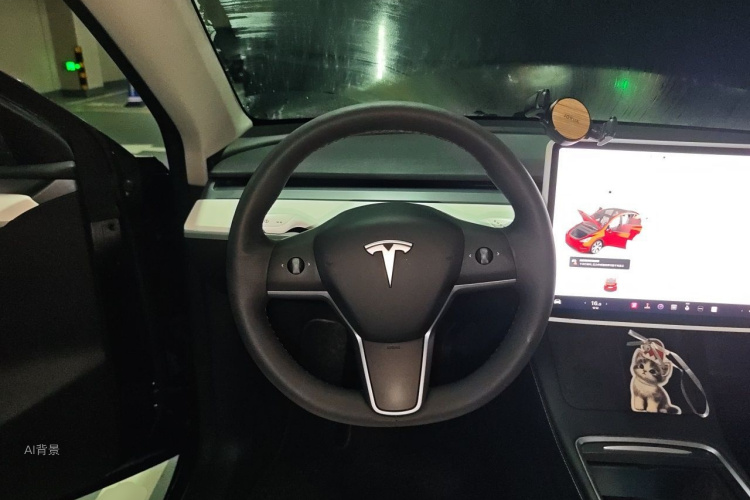 Tesla Model Y 2021 car image #12