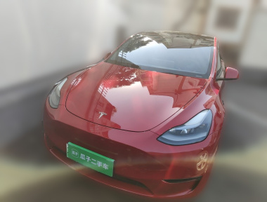 Tesla Model Y 2021 Tesla Model Y 2021 car image