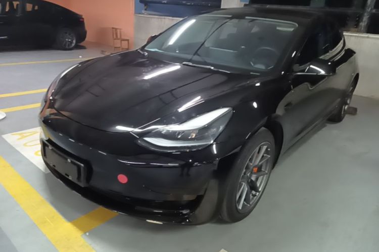 Tesla Model 3 2022 car image #2