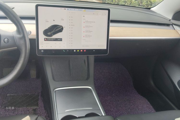 Tesla Model 3 2021 #15 Tesla Model 3 2021 car image #15