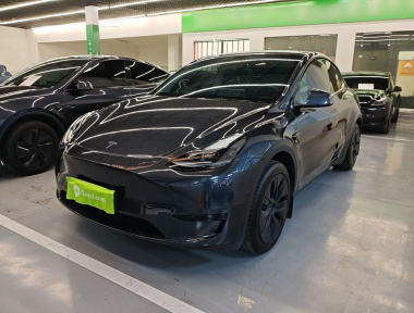 Tesla Model Y 2024 Tesla Model Y 2024 car image