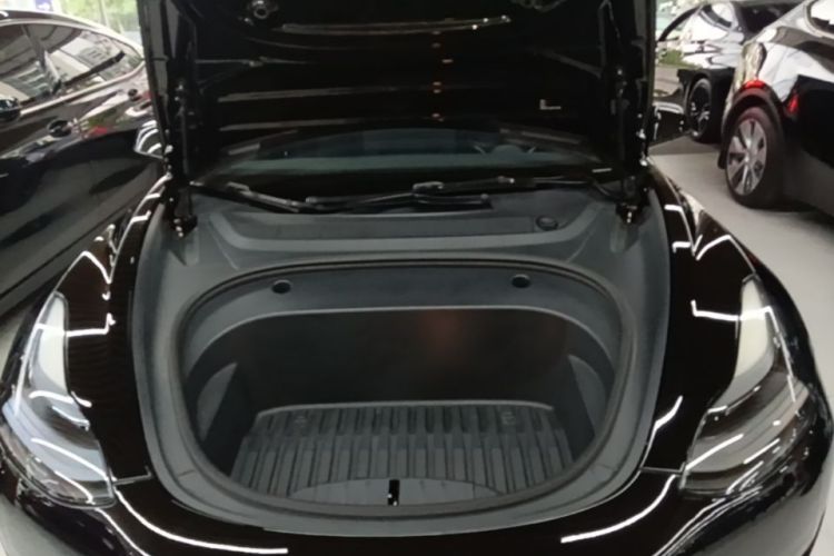Tesla Model 3 2021 #20 Tesla Model 3 2021 car image #20