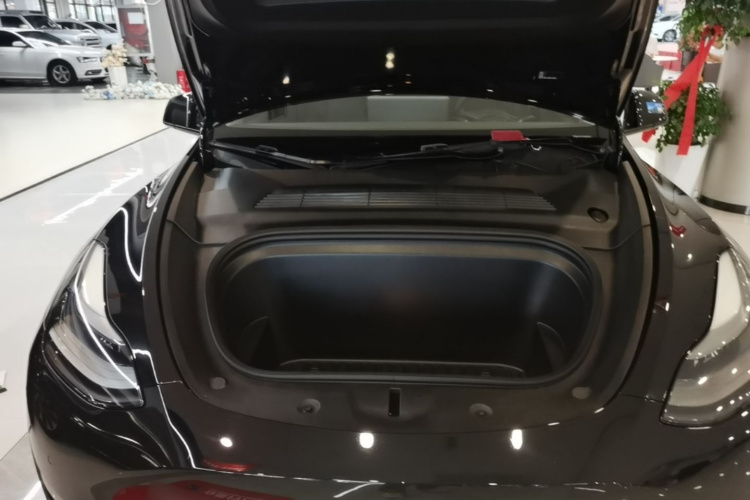 Tesla Model Y 2021 car image #20