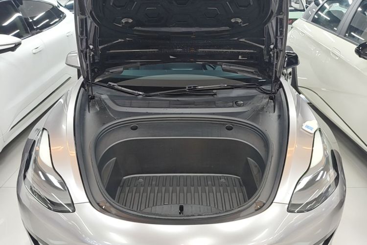 Tesla Model 3 2021 #20 Tesla Model 3 2021 car image #20