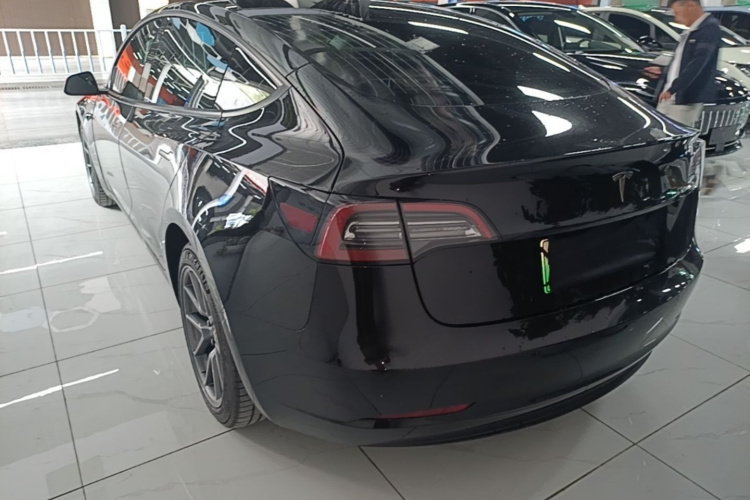 Tesla Model 3 2021 car image #6
