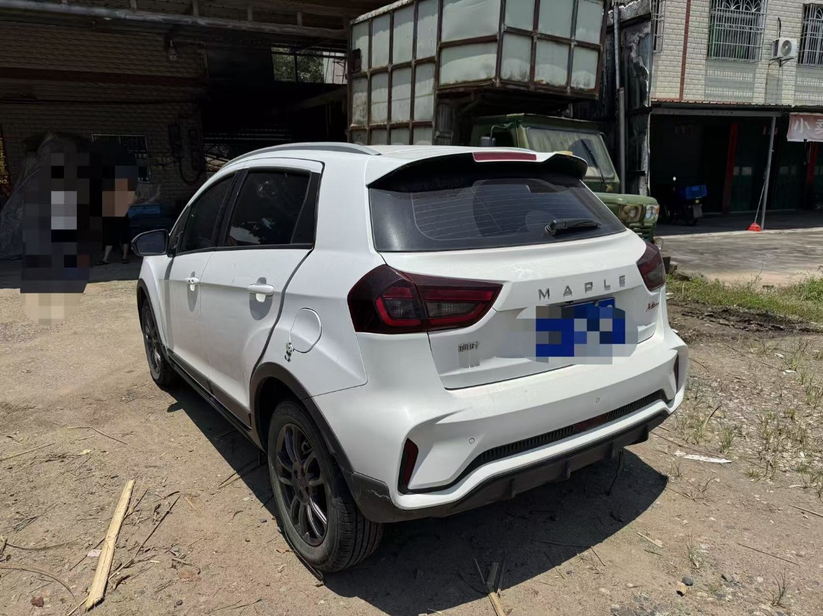 Livan X3 PRO 2022 car image #6