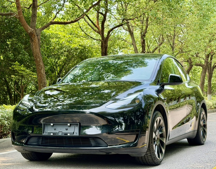 Tesla Model Y 2023 Tesla Model Y 2023 car image
