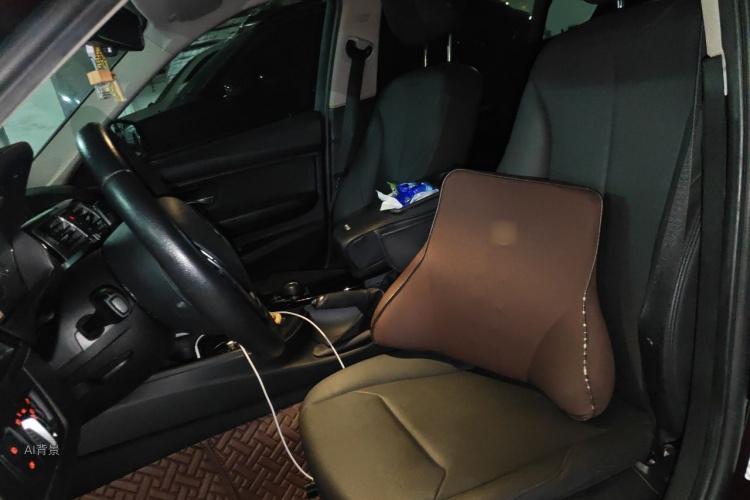 BMW 3 Series 2016 car image #17