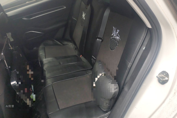 GEELY Emgrand 2022 image de voiture #19