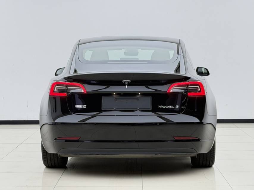 Tesla Model 3 2021 #8 Tesla Model 3 2021 immagine di auto #8