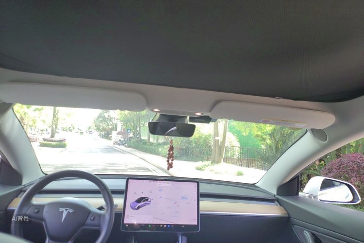 Tesla Model 3 2020 #20 Tesla Model 3 2020 car image #20