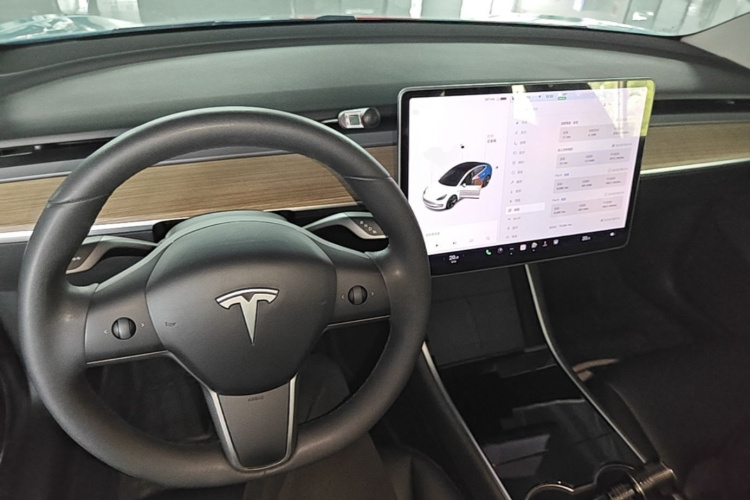 Tesla Model 3 2020 car image #9