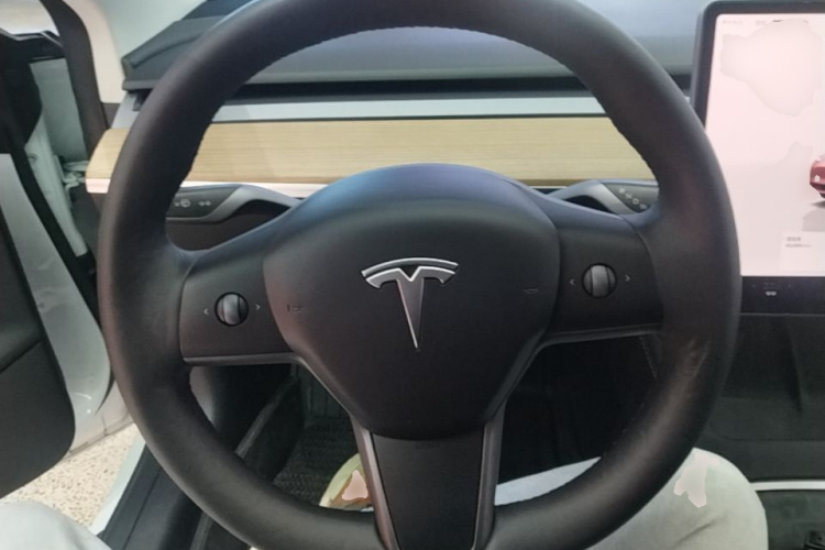 Tesla Model 3 2022 car image #20