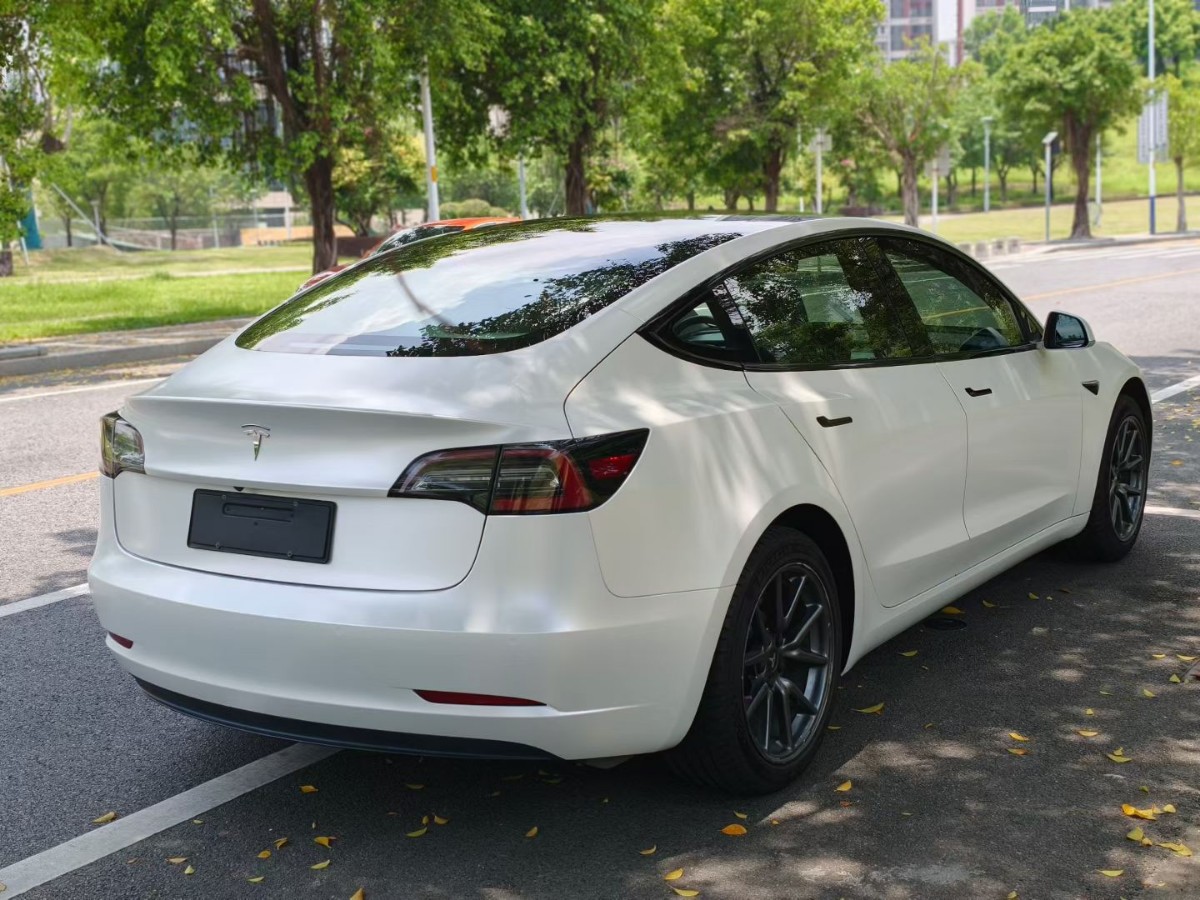 Tesla Model 3 2020 car image #2