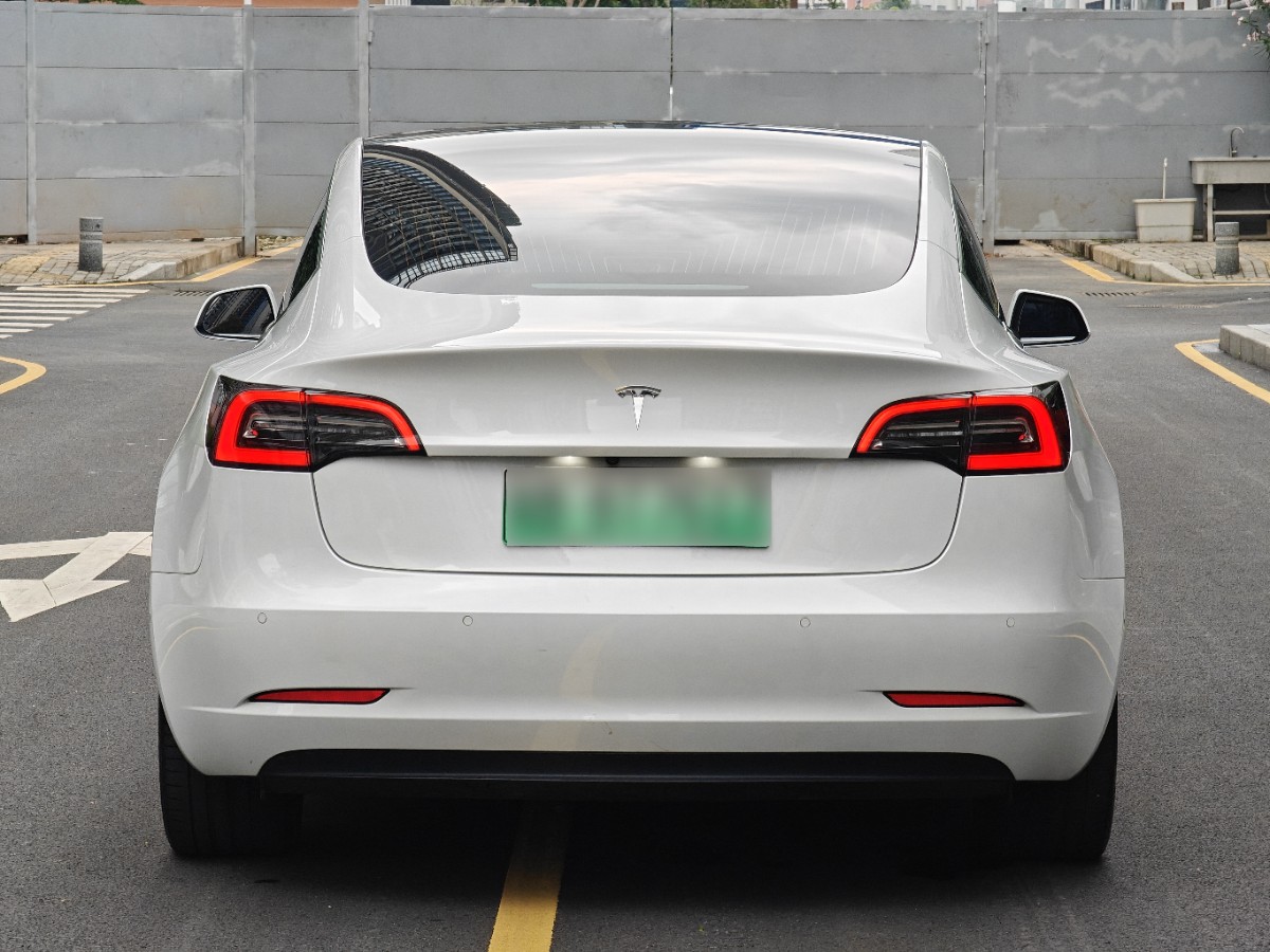 Tesla Model 3 2020 #10 Tesla Model 3 2020 car image #10