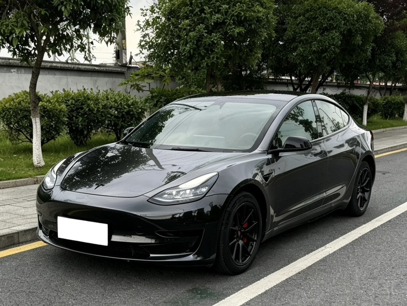 Tesla Model 3 2023 Tesla Model 3 2023 car image
