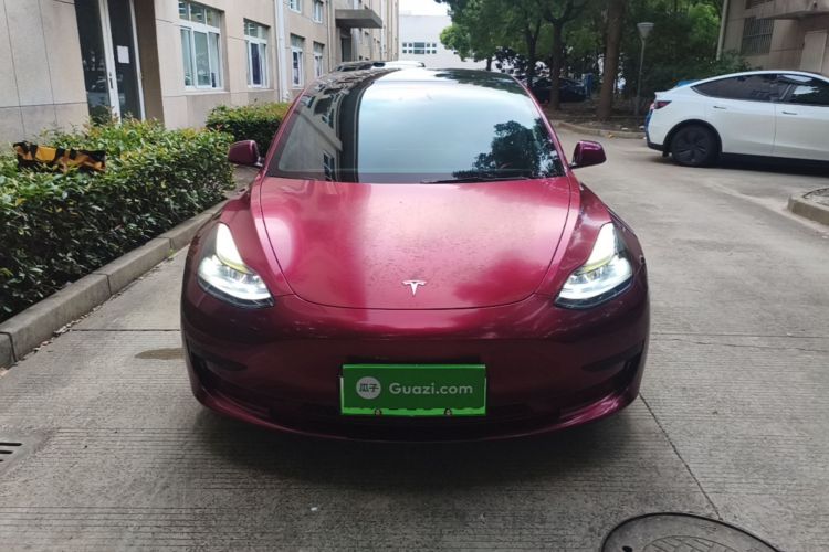 Tesla Model 3 2021 #3 Tesla Model 3 2021 car image #3