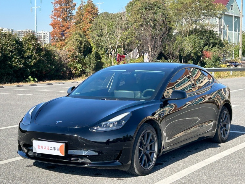 Tesla Model 3 2021 Tesla Model 3 2021 car image