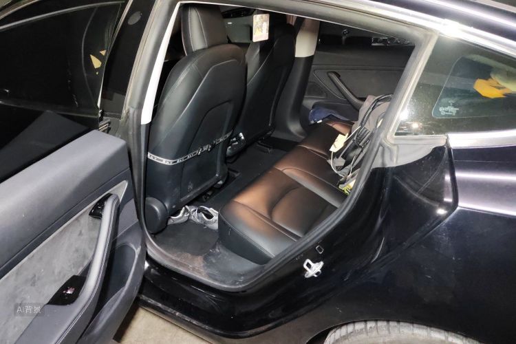 Tesla Model 3 2020 car image #19