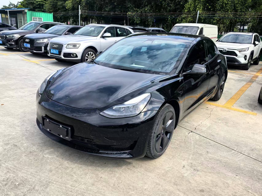 Tesla Model 3 2021 Tesla Model 3 2021 car image