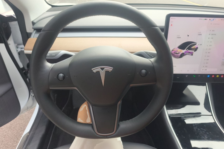 Tesla Model 3 2019 car image #11