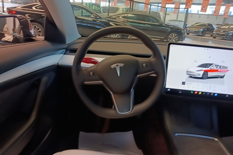 Tesla Model 3 2022 car image #11
