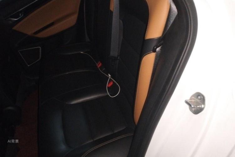 GEELY Emgrand GL 2020 immagine di auto #19