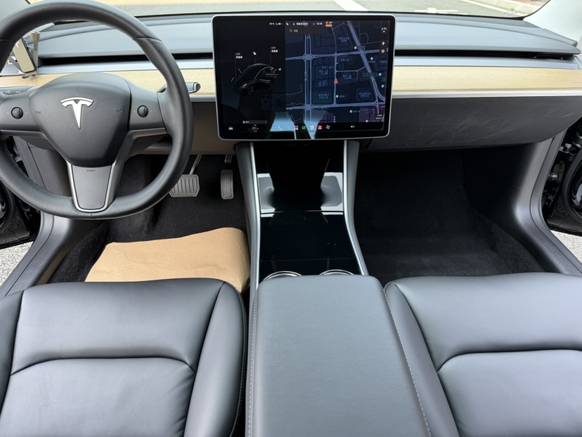Tesla Model 3 2020 car image #6