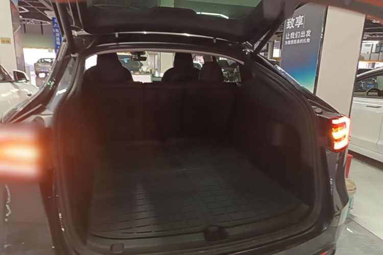 Tesla Model Y 2024 car image #19