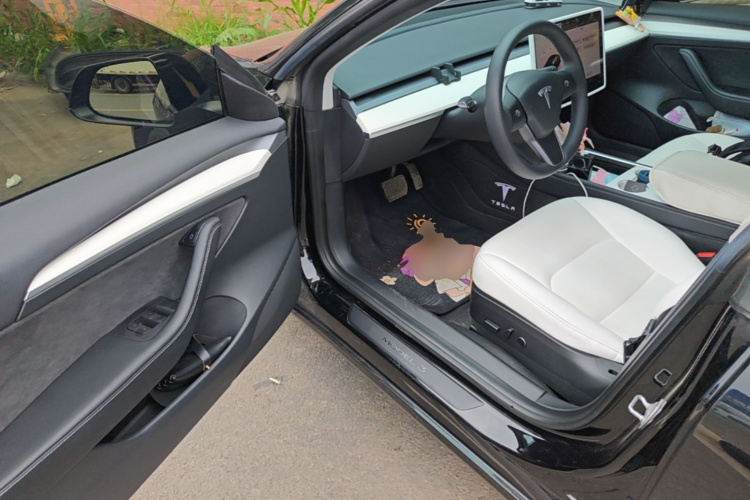 Tesla Model 3 2023 car image #16