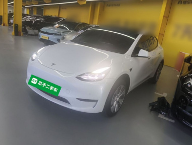 Tesla Model Y 2023 Tesla Model Y 2023 car image