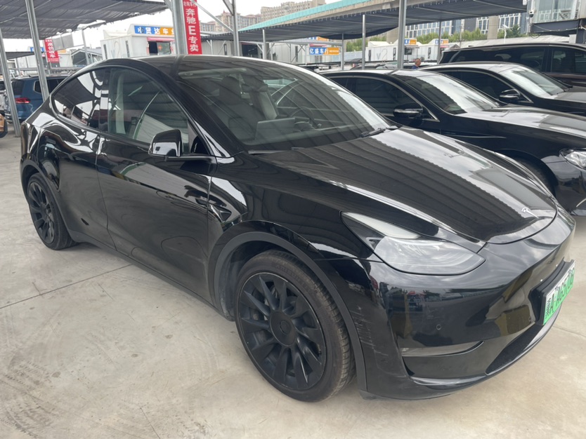 Tesla Model Y 2021 immagine di auto #2