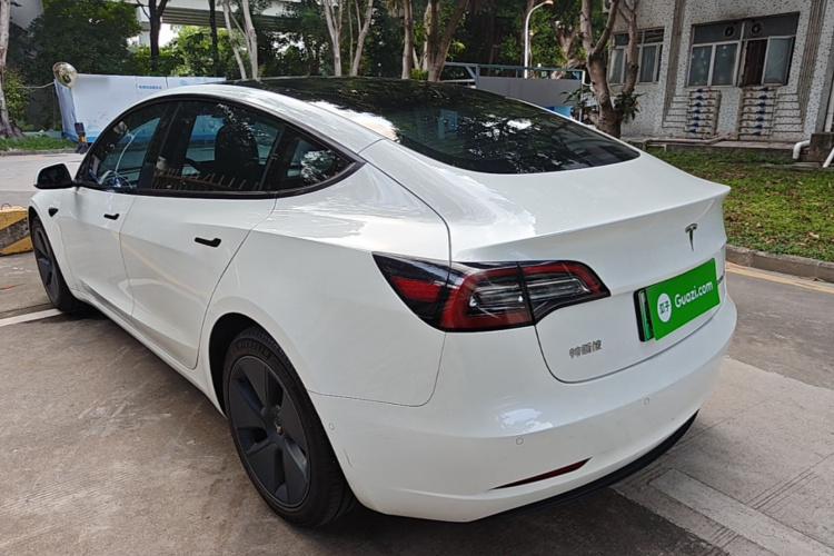 Tesla Model 3 2021 #5 Tesla Model 3 2021 car image #5