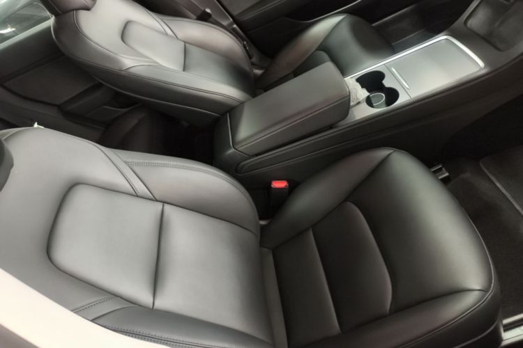 Tesla Model 3 2021 car image #24