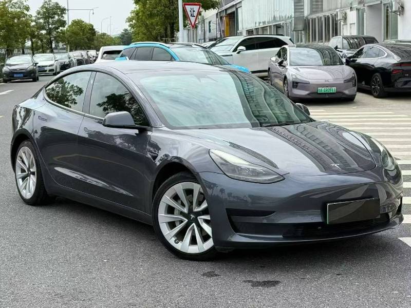 Tesla Model 3 2021 Tesla Model 3 2021 car image