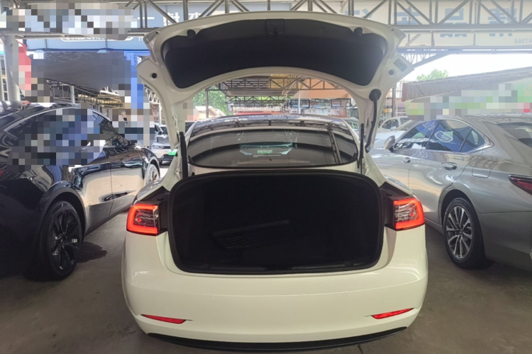 Tesla Model 3 2021 car image #19