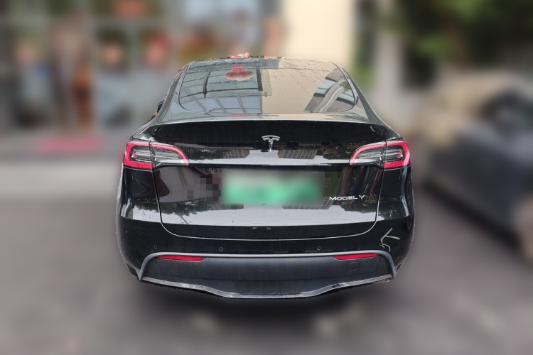 Tesla Model Y 2022 immagine di auto #6