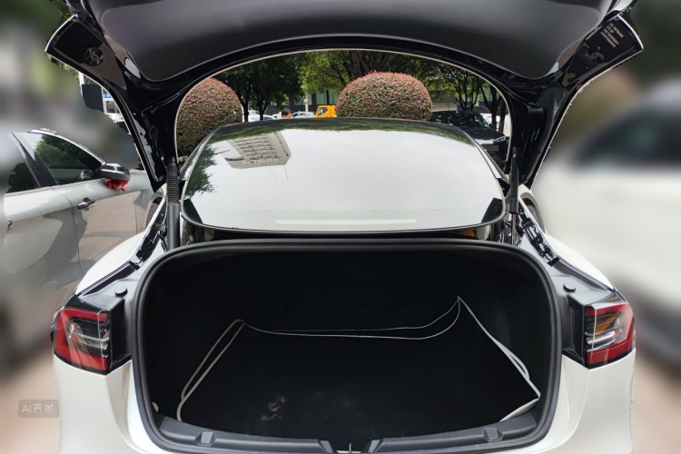Tesla Model 3 2022 #21 Tesla Model 3 2022 car image #21