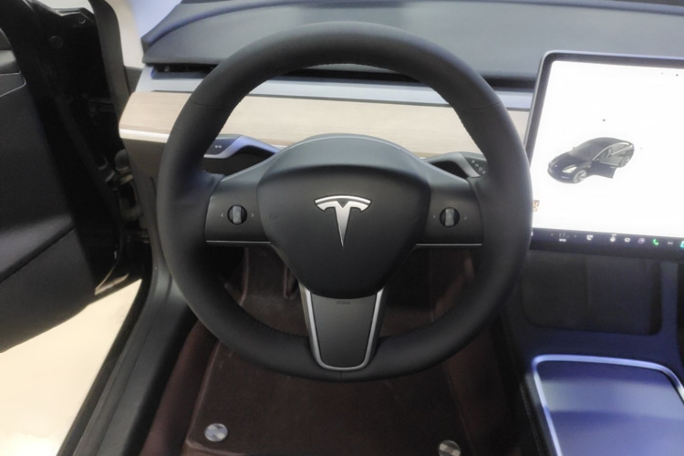 Tesla Model 3 2021 immagine di auto #15
