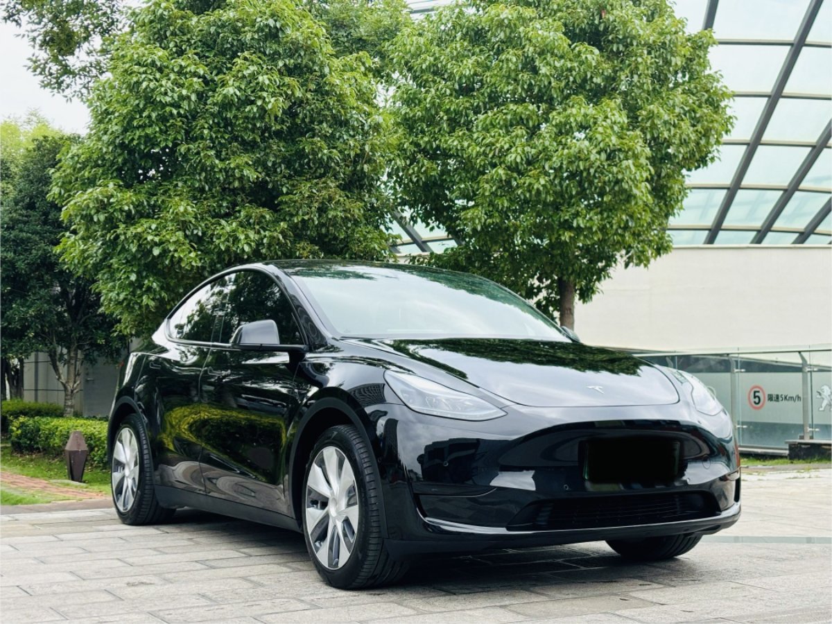 Tesla Model Y 2023 car image #3