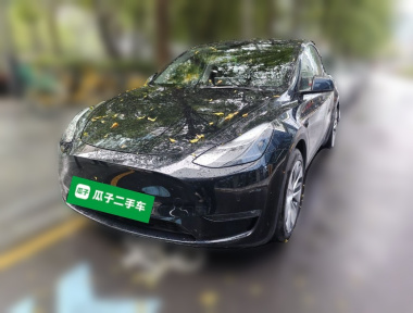 Tesla Model Y 2021 Tesla Model Y 2021 car image