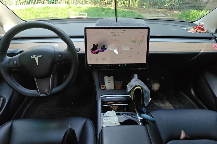 Tesla Model 3 2021 #7 Tesla Model 3 2021 car image #7